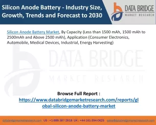 Silicon Anode Battery Market