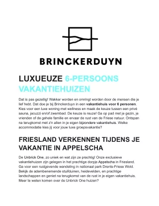 Luxe vakantiehuis 6 personen - Brinckerduyn