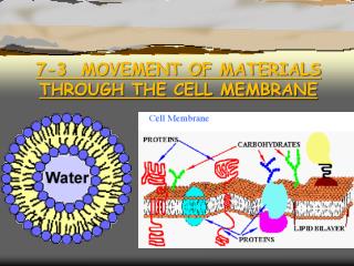 7-3 MOVEMENT OF MATERIALS THROUGH THE CELL MEMBRANE