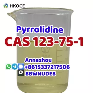 cas 123-75-1 Pyrrolidine