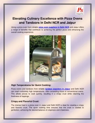 Pizza Oven Supplier in Delhi NCR