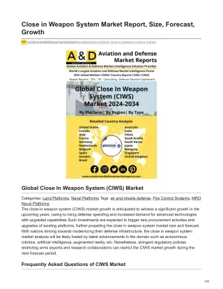 Close in Weapon System Market Report Size Forecast Growth