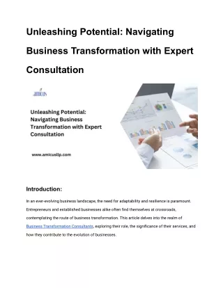 Unleashing Potential: Navigating Business Transformation with Expert Consultatio