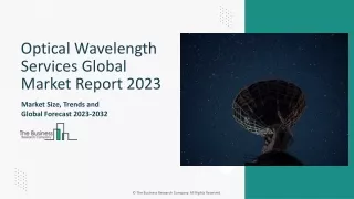 Optical Wavelength Services Market Size, Share Analysis, Trends, Forecast 2033