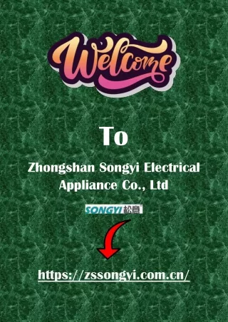 Best RV Gas Water Heater by Zhongshan Songyi - 18KW Instantaneous Hot Water