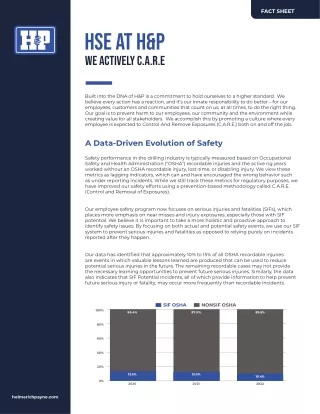 HSE-at-HP PDF 2