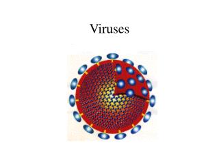 Viruses