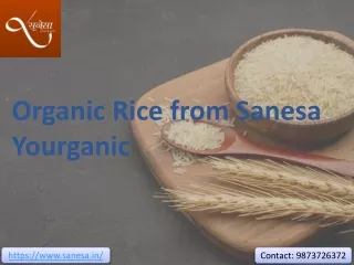 Organic Rice from Sanesa Yourganic