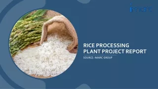 Rice Processing Plant Project Report 2024 Edition