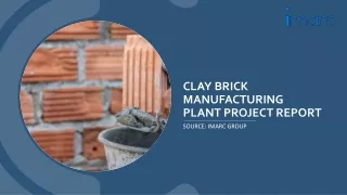 Clay Brick Manufacturing Plant Project Report 2024, Industry Trends