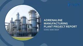 Adrenaline Manufacturing Plant Project Report