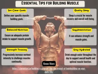 Essential Tips for Building Muscle