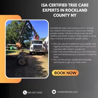 ISA Certified Tree Care Experts in Rockland County NY