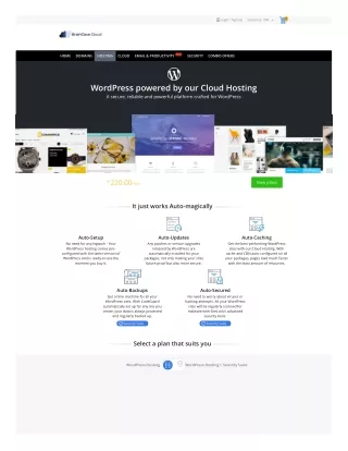 braincavecloud-com-en-optimized-wordpress-hosting-php