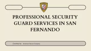 Professional Security Guard Services in San Fernando