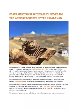 Fossil Hunting in Spiti Valley- Unveiling the Ancient Secrets of the Himalayas