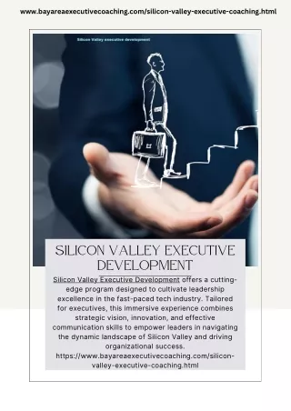 Silicon Valley executive development