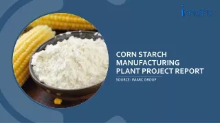 Project Report 2024: Setting up a Corn Starch Manufacturing Plant