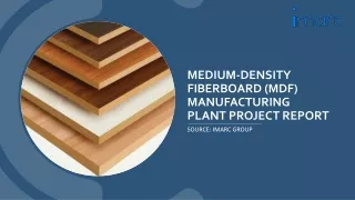 Project Report 2024: Setting up a Medium-Density Fiberboard (MDF) Manufacturing