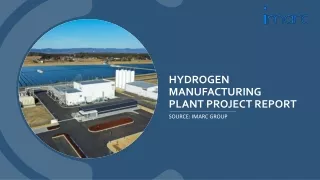 Hydrogen Manufacturing Plant Project Report 2024: Requirements