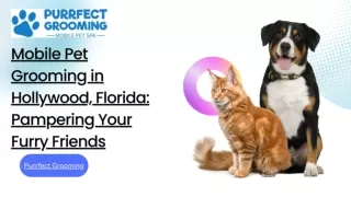 Mobile Pet Grooming in Hollywood, Florida: Pampering Your Furry Friends