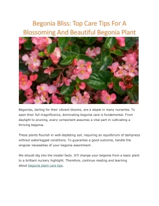 Begonia plant care tips