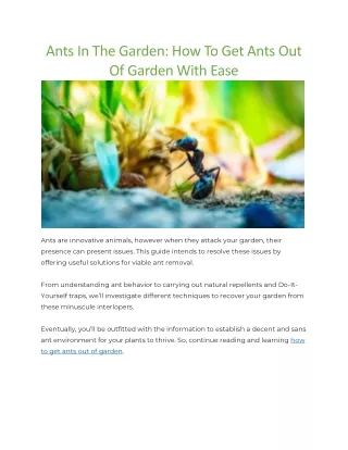 How to get ants out of garden