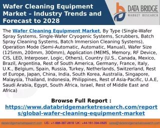 Wafer Cleaning Equipment Market