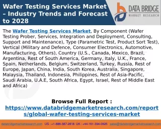 Wafer Testing Services Market