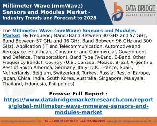 Millimeter Wave (mmWave) Sensors and Modules Market