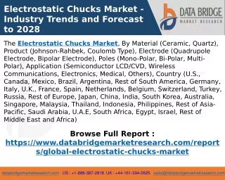 Electrostatic Chucks Market