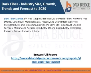 Dark Fiber Market