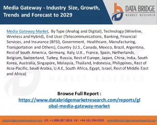 Media Gateway Market