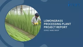 Lemongrass Processing Plant Project Report 2024