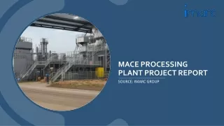 Mace Processing Plant Project Report 2024