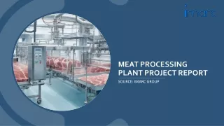 Meat Processing Plant Project Report 2024