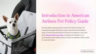 American Airlines Pet Policy Guide