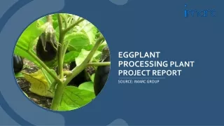 Eggplant Processing Plant Project Report