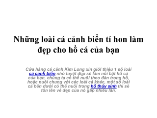 Những loài cá cảnh biển tí hon làm đẹp cho hồ cá của bạn