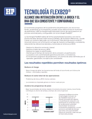 FlexB2D-Fact-Sheet-Spanish PDF 4