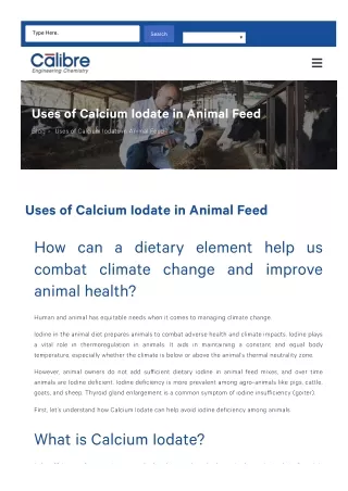 Calcium Iodate: An Essential Nutrient for Animal Health