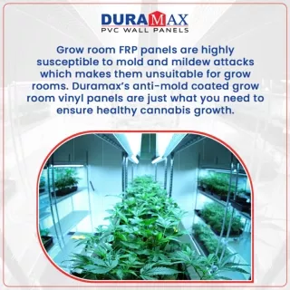 Install-Grow-Room-Vinyl-Panels-to-BoostYourCannabisProductionMoreThanEverBefore