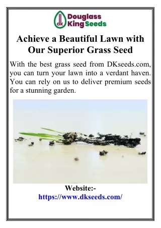 Achieve a Beautiful Lawn with Our Superior Grass Seed