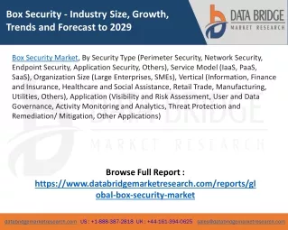 Box Security Market