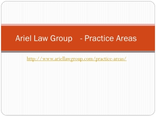 Practice areas - Ariel Law Group