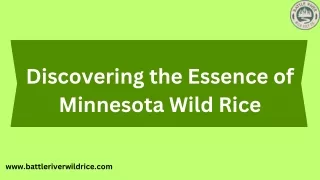 Minnesota Wild Rice