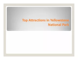 Top Attractions in Yellowstone National Park