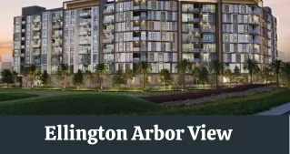 Ellington Arbor View PDF