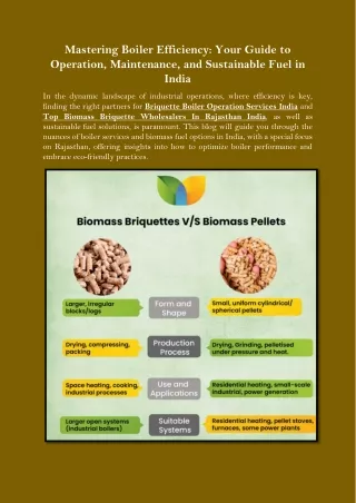 Mastering Boiler Efficiency Your Guide to Operation, Maintenance, and Sustainable Fuel in India