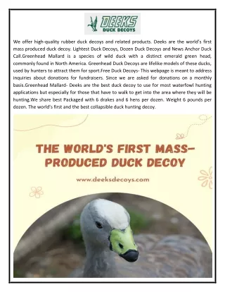 Free Duck Decoys